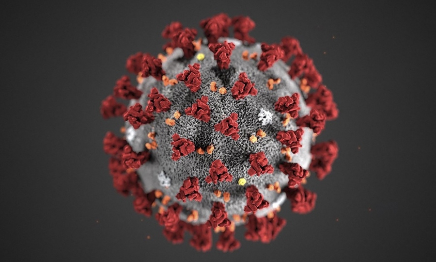 545 са новите случаи на коронавирус - 9,5 процента от тестовете