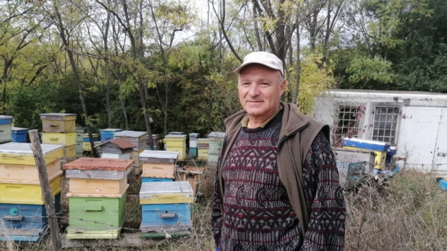 Пчелар: Изкупната цена на българския мед остава ниска