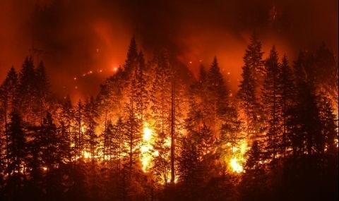 Рекордната жега запали горите в Испания