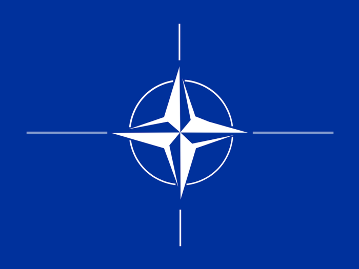 Полша, Румъния, България: може ли НАТО наистина да разчита на тези държави?