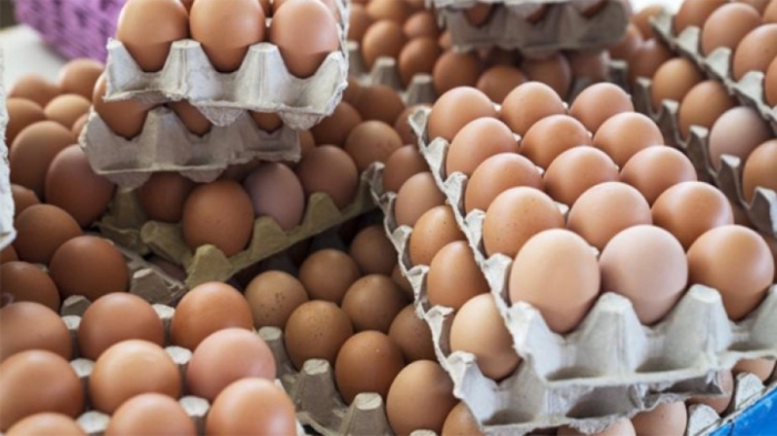 БАБХ: Яйцата от Украйна са безопасни