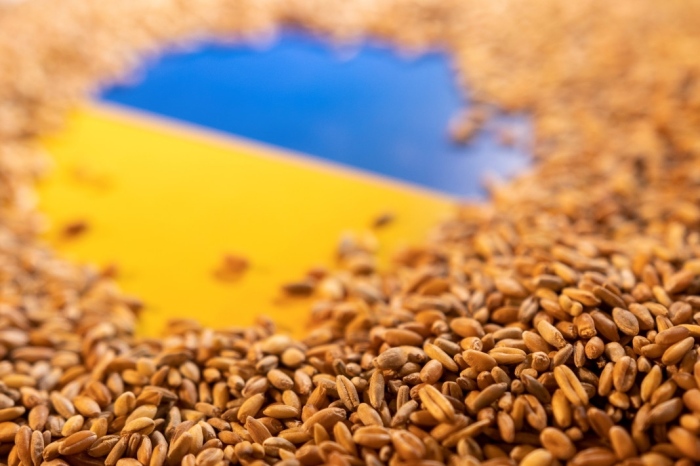 Парламентът реши: Отпада забраната за внос на зърно от Украйна 