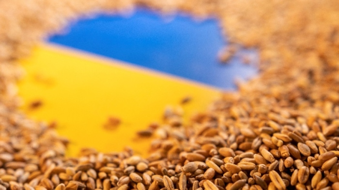 Киев ще съди Полша, Унгария и Словакия заради забраната за внос на украински земеделски продукти