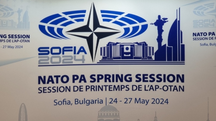 Украйна във фокуса на Парламентарната асамблея на НАТО в София