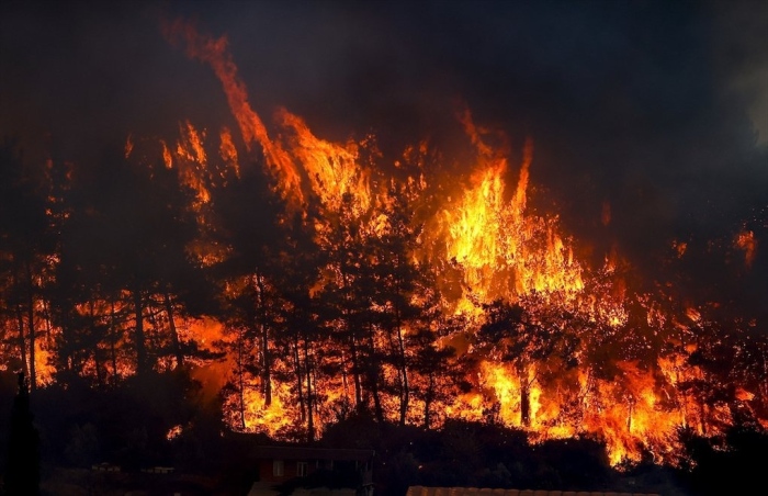 Държавата дава 2.1 млн. лв. за борба с пожарите