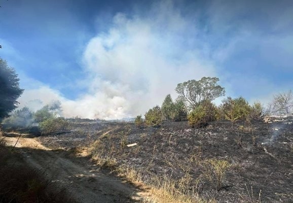 Голям пожар избухна край Самоков, заплашва село Алино 